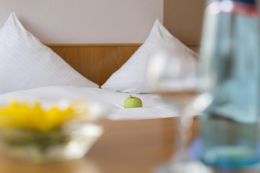 Hotel Gasthof Sonne Fridingen an der Donau المظهر الخارجي الصورة