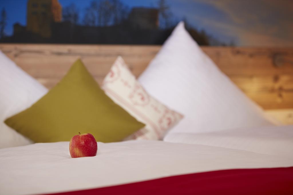 Hotel Gasthof Sonne Fridingen an der Donau المظهر الخارجي الصورة